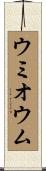 ウミオウム Scroll