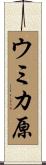 ウミカ原 Scroll