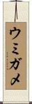 ウミガメ Scroll