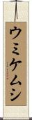 ウミケムシ Scroll