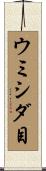 ウミシダ目 Scroll