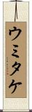 ウミタケ Scroll