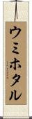 ウミホタル Scroll