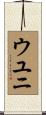 ウユニ Scroll