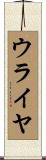 ウライヤ Scroll