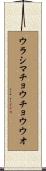 ウラシマチョウチョウウオ Scroll