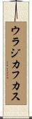 ウラジカフカス Scroll