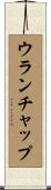 ウランチャップ Scroll