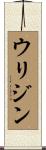 ウリジン Scroll