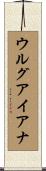 ウルグアイアナ Scroll