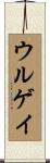 ウルゲイ Scroll
