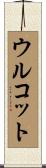 ウルコット Scroll