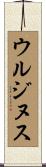 ウルジヌス Scroll