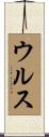 ウルス Scroll