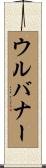 ウルバナー Scroll