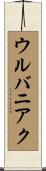 ウルバニアク Scroll