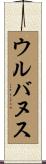ウルバヌス Scroll