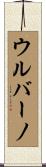 ウルバーノ Scroll