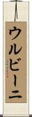 ウルビーニ Scroll