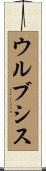 ウルブシス Scroll