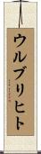 ウルブリヒト Scroll