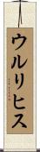 ウルリヒス Scroll
