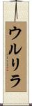 ウルリラ Scroll