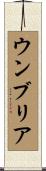ウンブリア Scroll
