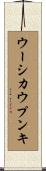 ウーシカウプンキ Scroll