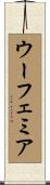 Eufemia Scroll