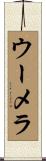 ウーメラ Scroll