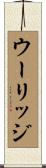 ウーリッジ Scroll