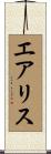 Aerith Scroll