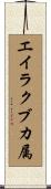 エイラクブカ属 Scroll