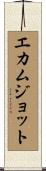 Ekamjot Scroll