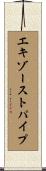 エキゾースト・パイプ Scroll
