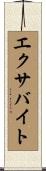 エクサバイト Scroll