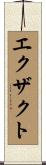 エクザクト Scroll