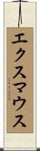 エクスマウス Scroll