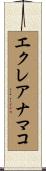 エクレアナマコ Scroll