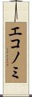 エコノミ Scroll