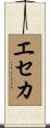 エセカ Scroll