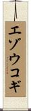 エゾウコギ Scroll