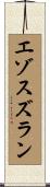 エゾスズラン Scroll