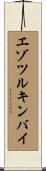 エゾツルキンバイ Scroll