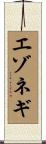 エゾネギ Scroll