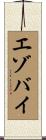 エゾバイ Scroll