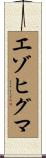 エゾヒグマ Scroll