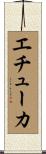エチューカ Scroll