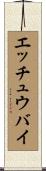 エッチュウバイ Scroll